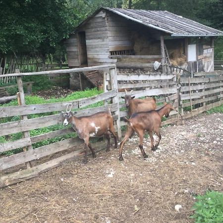 Eco Camp Dzogaska Vrela Hotel Pljevlja Luaran gambar