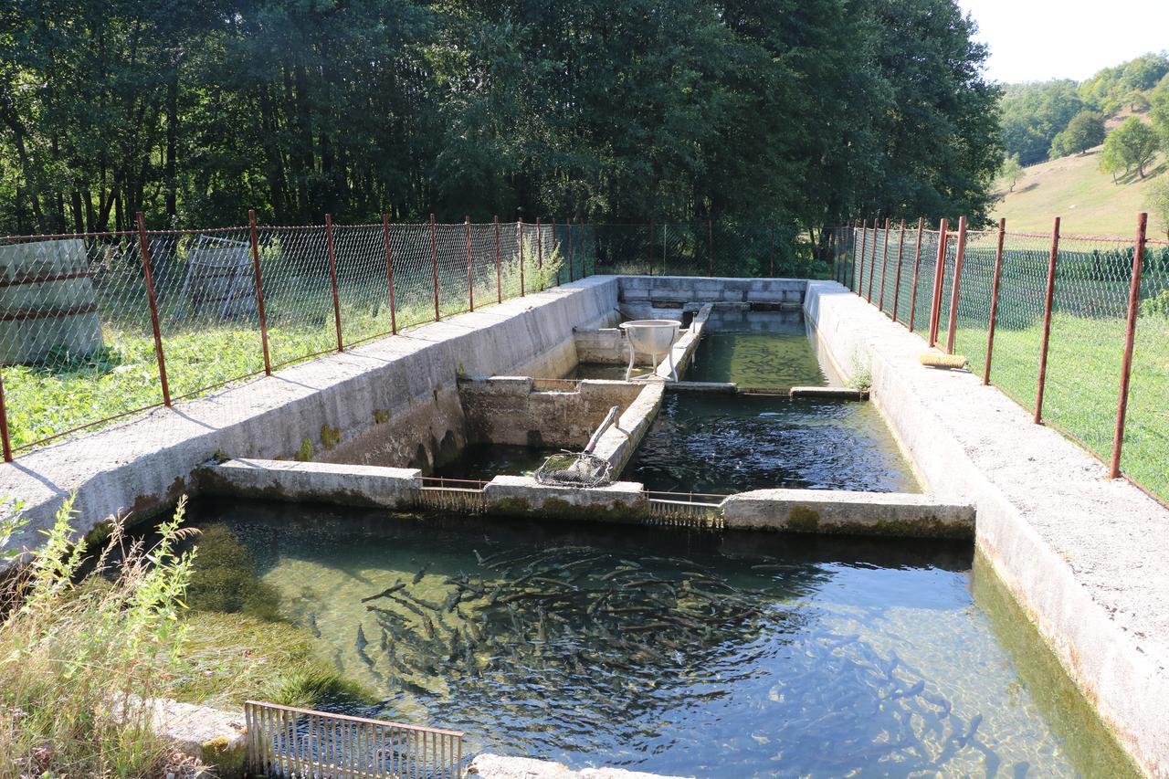 Eco Camp Dzogaska Vrela Hotel Pljevlja Luaran gambar
