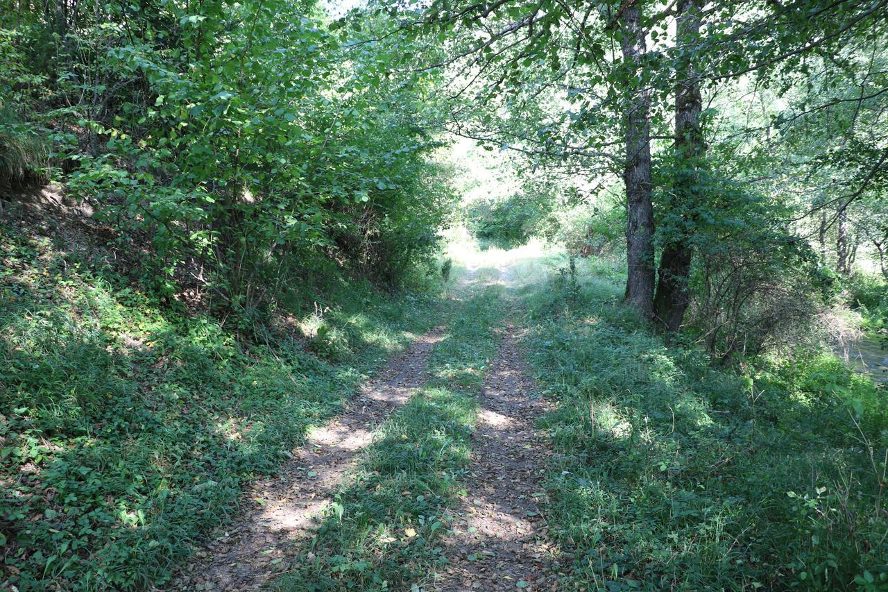 Eco Camp Dzogaska Vrela Hotel Pljevlja Luaran gambar