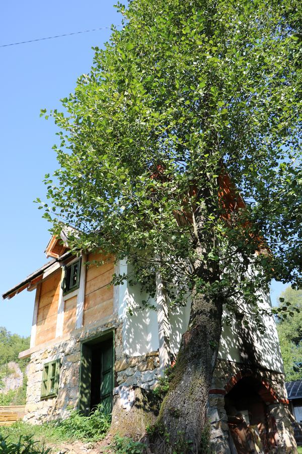 Eco Camp Dzogaska Vrela Hotel Pljevlja Luaran gambar