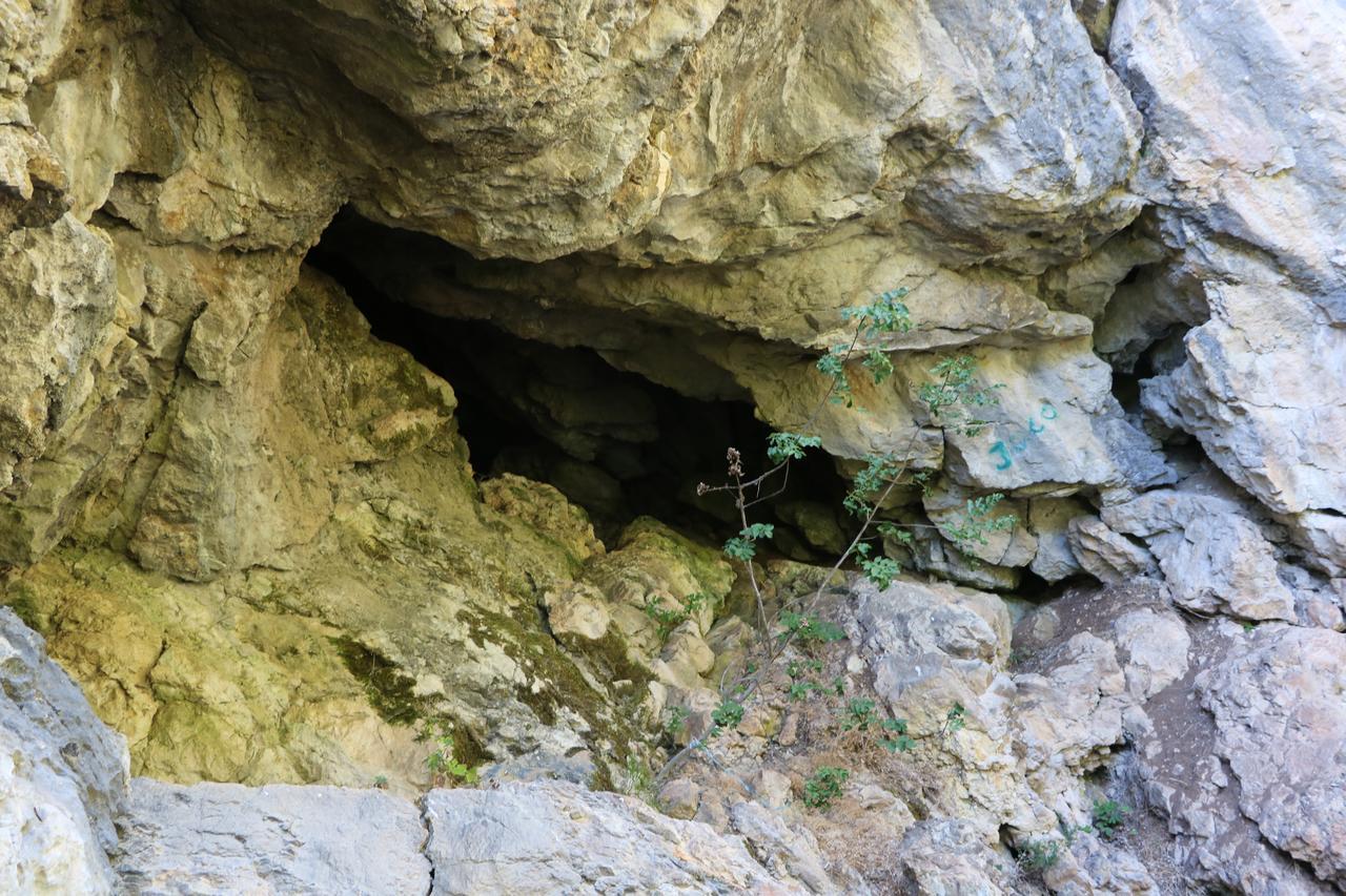 Eco Camp Dzogaska Vrela Hotel Pljevlja Luaran gambar