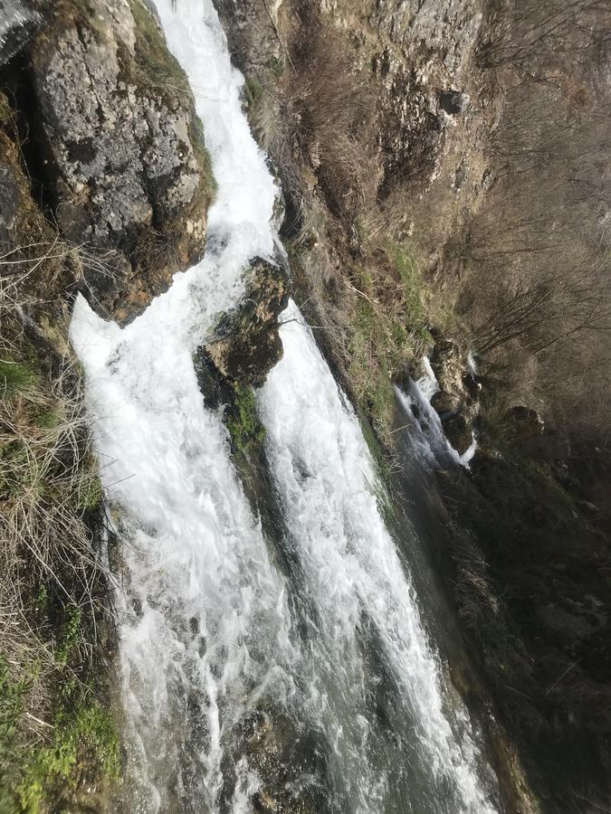 Eco Camp Dzogaska Vrela Hotel Pljevlja Luaran gambar