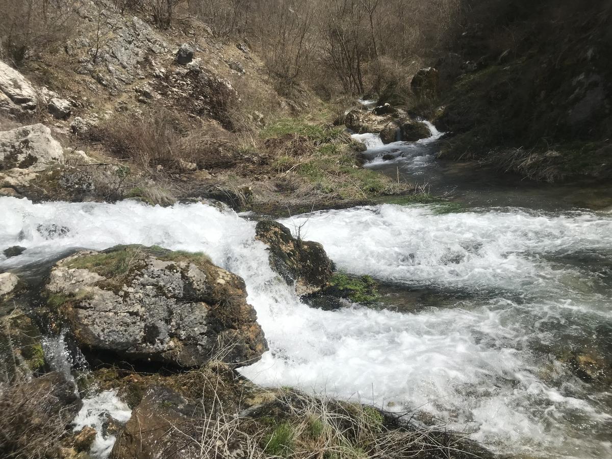 Eco Camp Dzogaska Vrela Hotel Pljevlja Luaran gambar