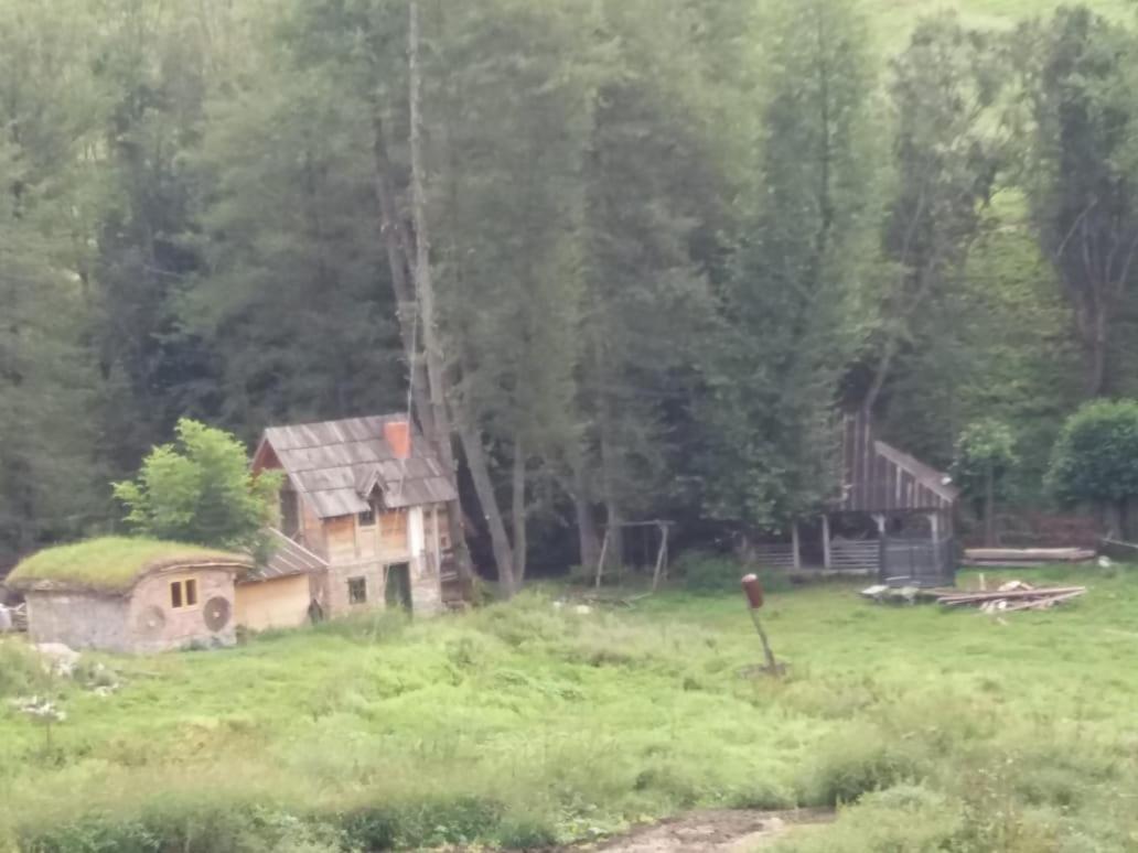 Eco Camp Dzogaska Vrela Hotel Pljevlja Luaran gambar