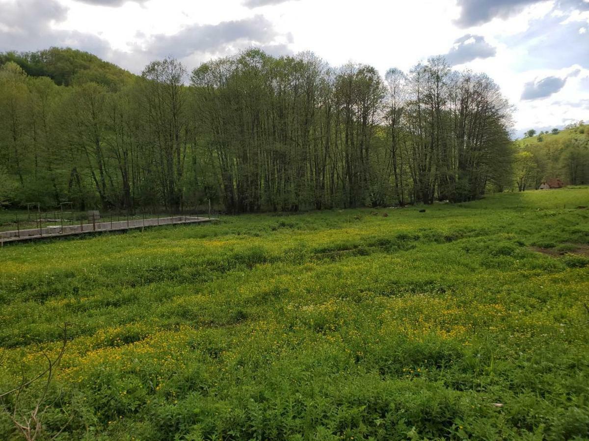 Eco Camp Dzogaska Vrela Hotel Pljevlja Luaran gambar